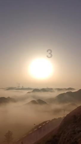 创作猫